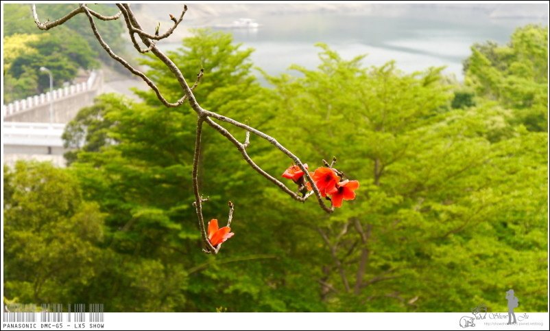 未命名 - 219.jpg
