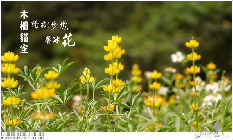 未命名 - 79.jpg