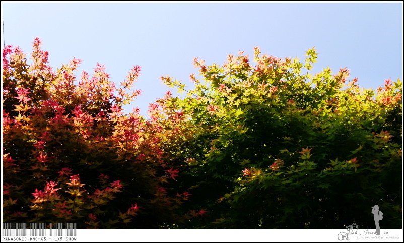 未命名 - 9.jpg