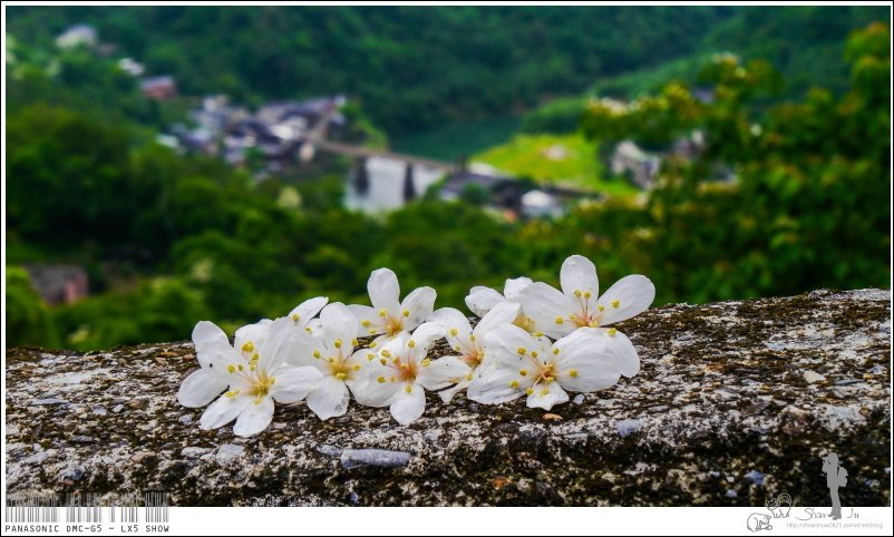 未命名 - 14.jpg