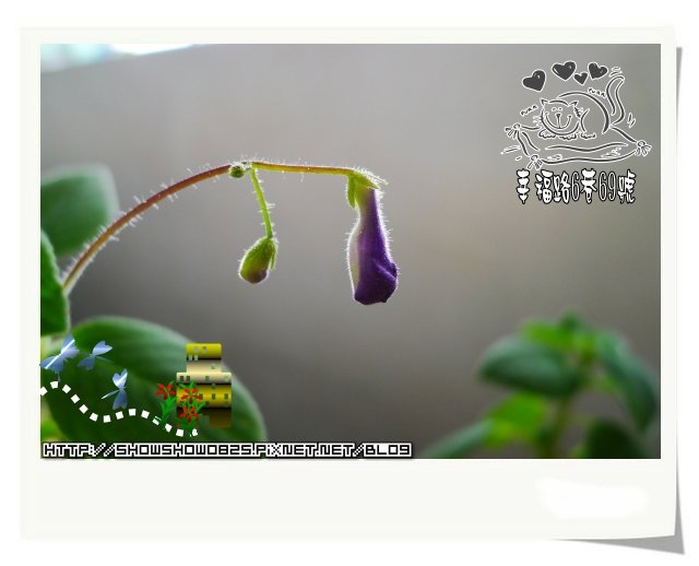 未命名 - 47.jpg