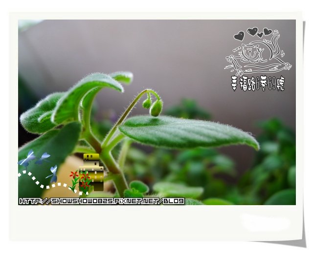 未命名 - 43.jpg