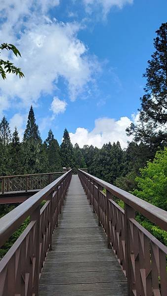 20210424_104651.jpg
