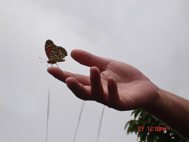 DSC00060.jpg