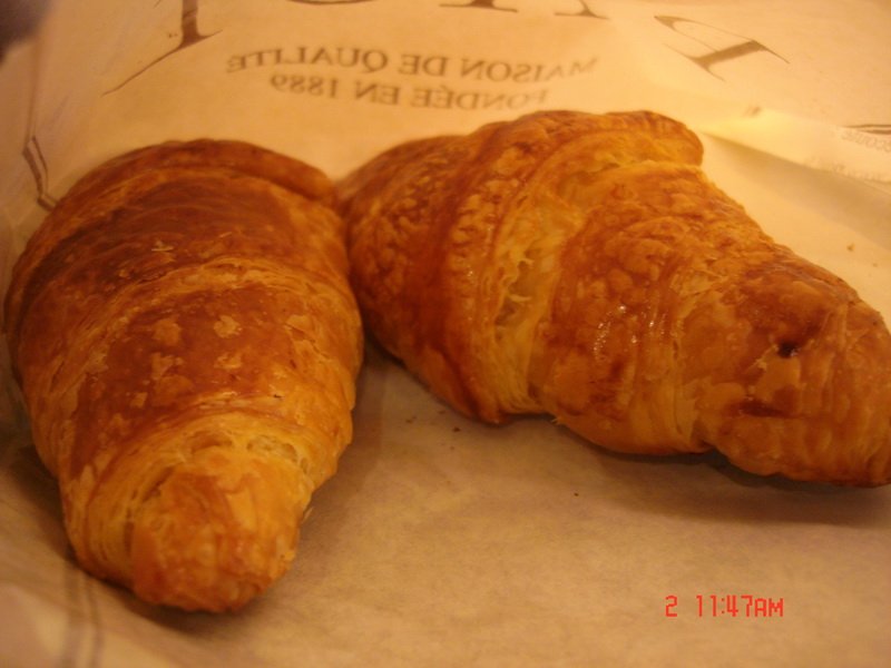 DSC06235.jpg