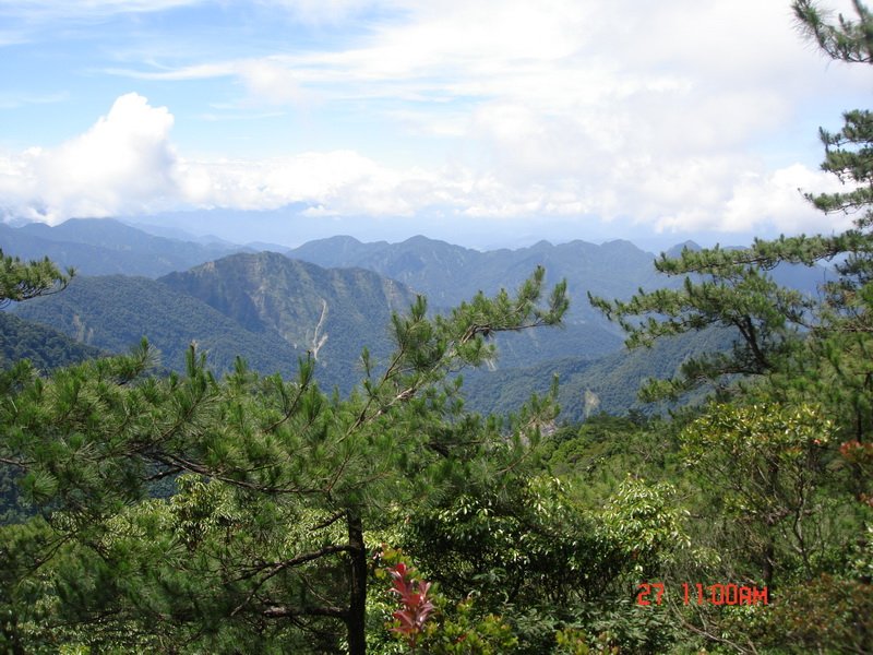 DSC00054.jpg