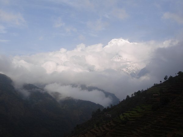 DSC01387-1.jpg