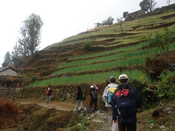 DSC01392-1.jpg