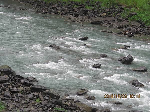 IMG_4448.JPG