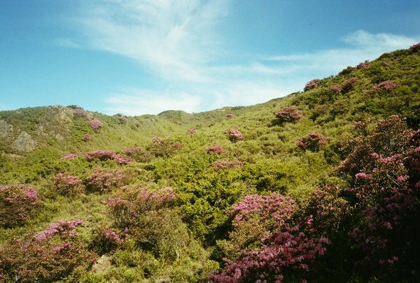 F4-007.JPG