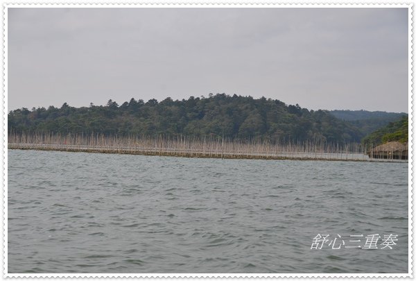 DSC_6496.JPG