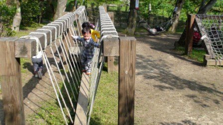 大溪花開了休閒農場2010-03-18_10.JPG