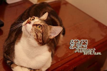漢堡-34.jpg