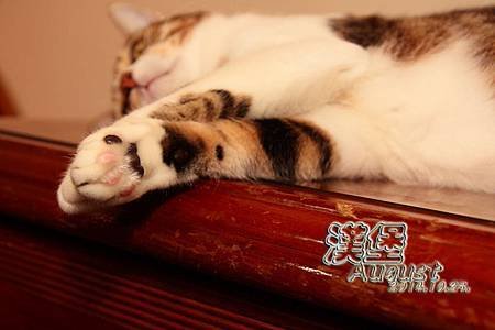 漢堡-36.jpg