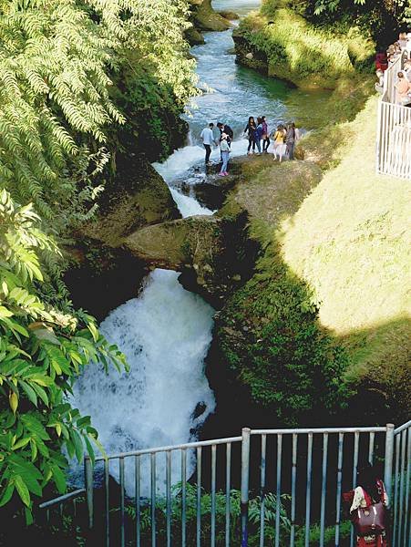 Devis fall