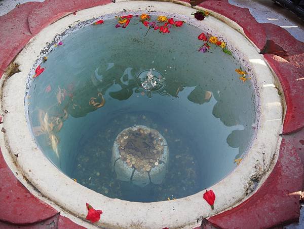 Devis fall wish pool 2