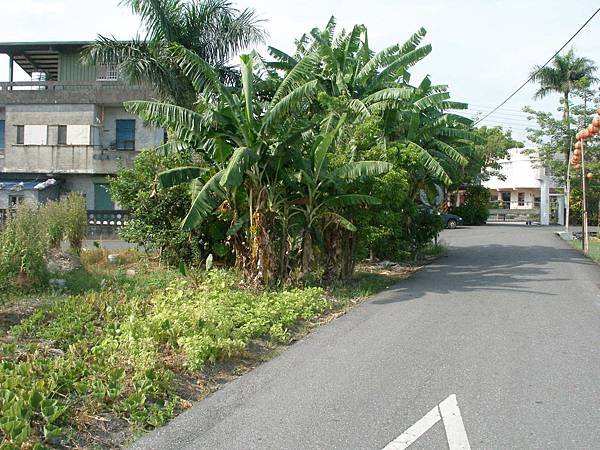 慈心華德福幼兒園