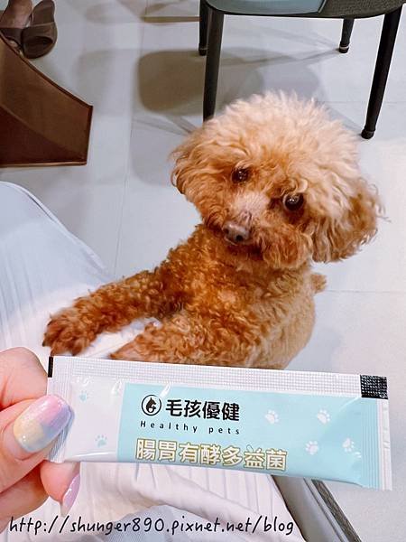 【寵物保健】毛孩優健 腸胃有酵多益菌