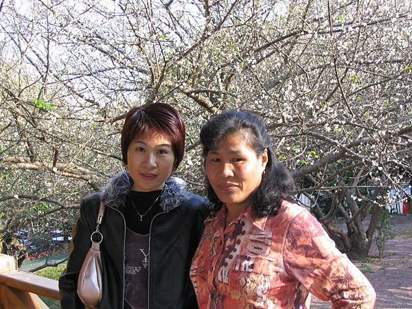 2004-12-43.JPG