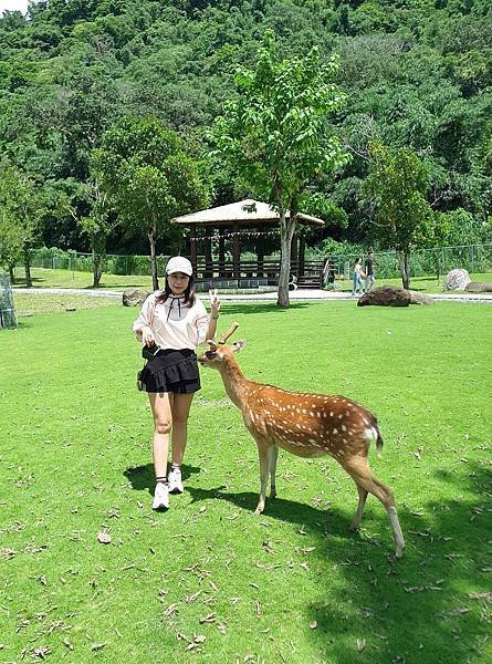 2023/8/27 逐鹿傳說梅花鹿園