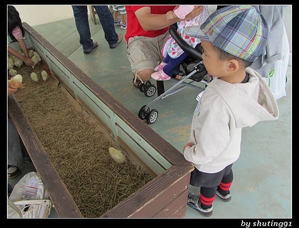 121103 3Y0M c 沖繩兒童王國 zoo (10)