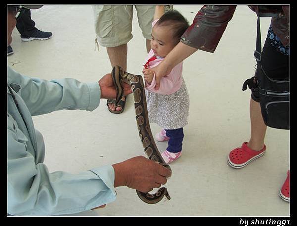 121103 3Y0M c 沖繩兒童王國 zoo (23)