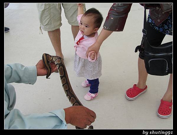 121103 3Y0M c 沖繩兒童王國 zoo (24)