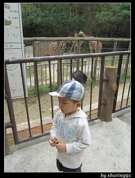 121103 3Y0M c 沖繩兒童王國 zoo (40)