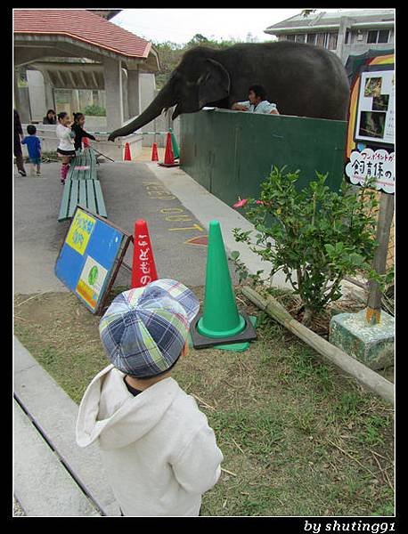 121103 3Y0M c 沖繩兒童王國 zoo (43)