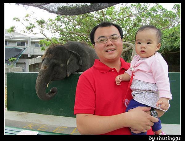 121103 3Y0M c 沖繩兒童王國 zoo (46)