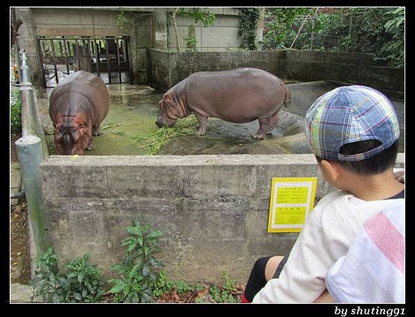 121103 3Y0M c 沖繩兒童王國 zoo (58)