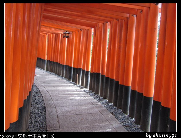 130329 d 京都 千本鳥居 (43)