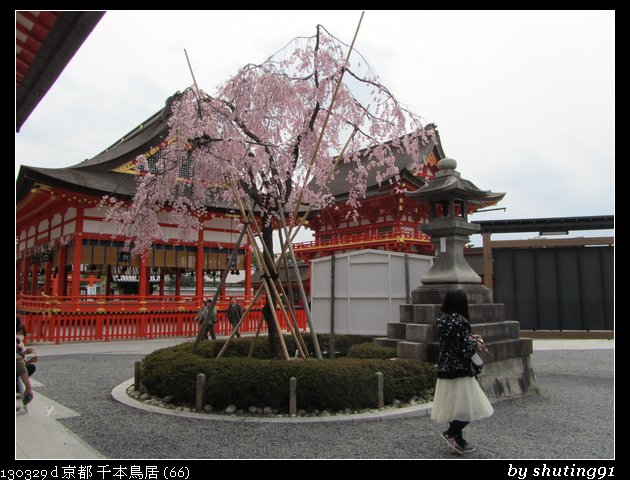 130329 d 京都 千本鳥居 (66)