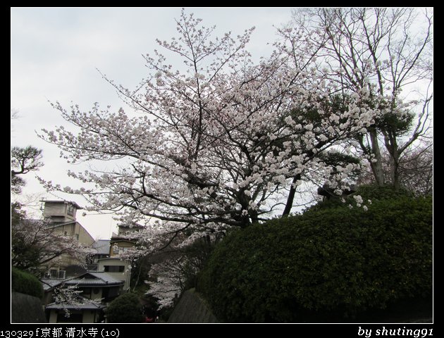 130329 f 京都 清水寺 (10)