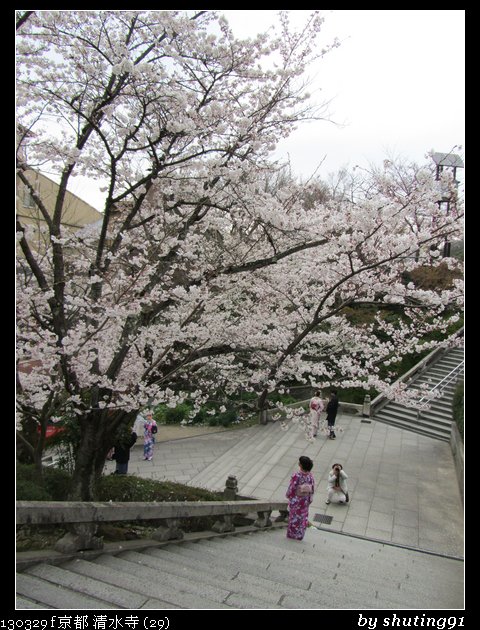 130329 f 京都 清水寺 (29)