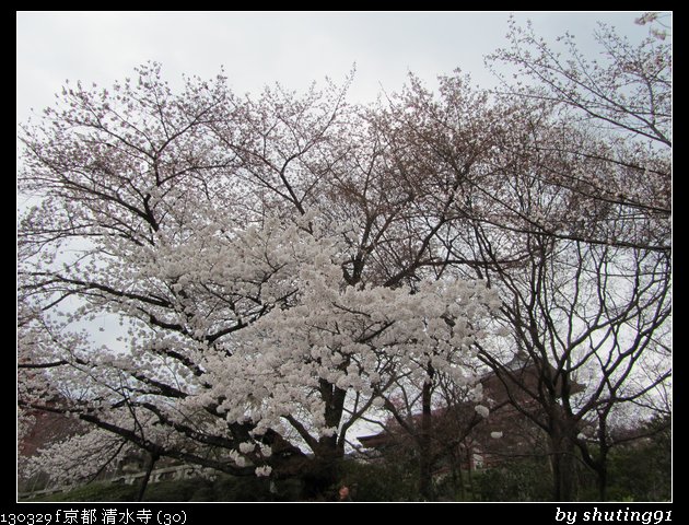 130329 f 京都 清水寺 (30)