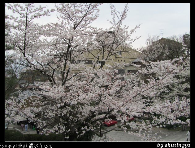 130329 f 京都 清水寺 (34)