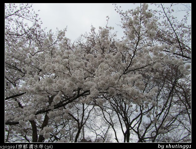 130329 f 京都 清水寺 (36)