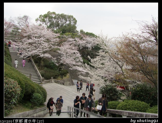 130329 f 京都 清水寺 (37)