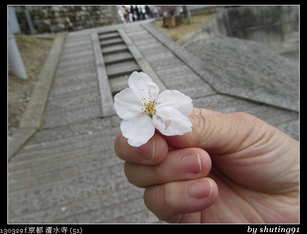 130329 f 京都 清水寺 (51)