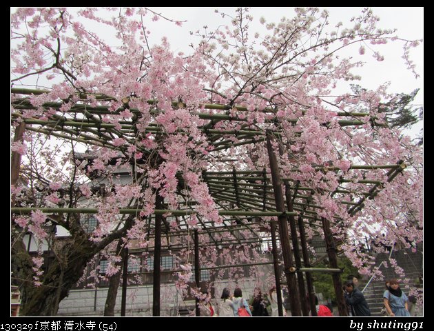 130329 f 京都 清水寺 (54)