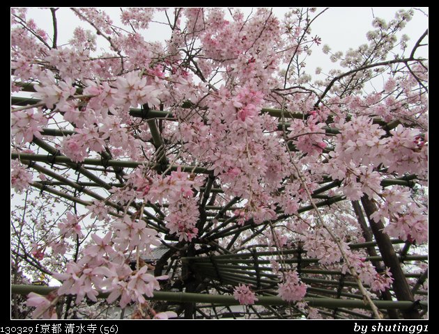 130329 f 京都 清水寺 (56)