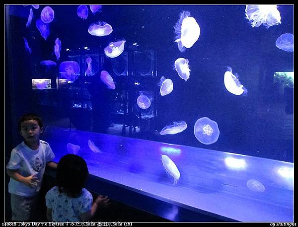 140818 Tokyo Day 7 e Skytree すみだ水族館 墨田水族館 (16).jpg