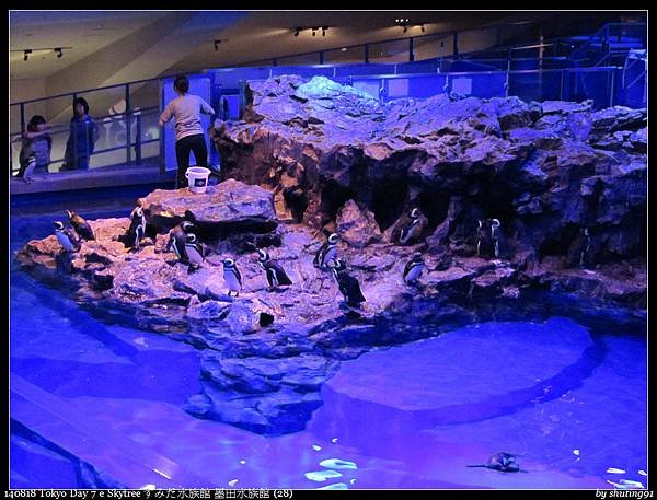 140818 Tokyo Day 7 e Skytree すみだ水族館 墨田水族館 (28).jpg