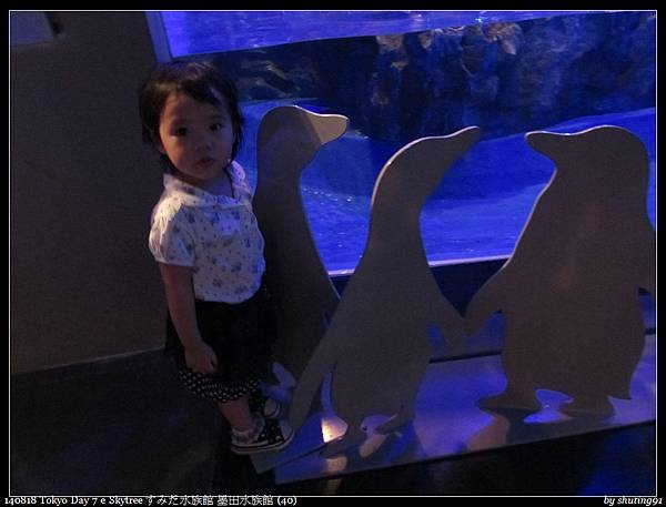 140818 Tokyo Day 7 e Skytree すみだ水族館 墨田水族館 (40).jpg