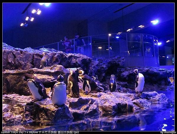 140818 Tokyo Day 7 e Skytree すみだ水族館 墨田水族館 (50).jpg