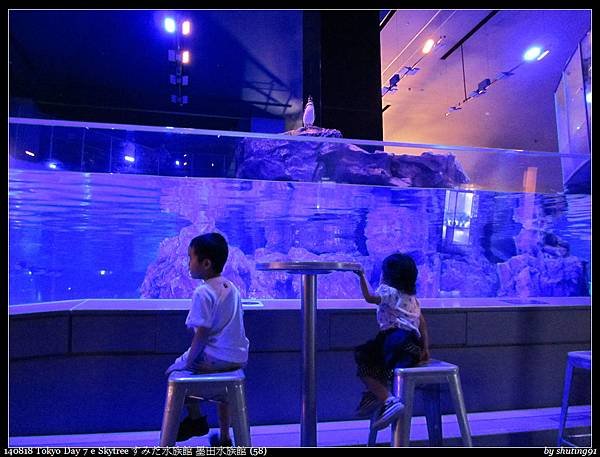 140818 Tokyo Day 7 e Skytree すみだ水族館 墨田水族館 (58).jpg