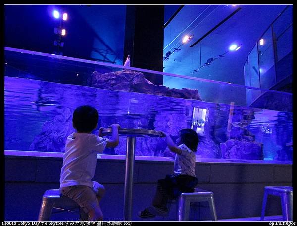 140818 Tokyo Day 7 e Skytree すみだ水族館 墨田水族館 (61).jpg