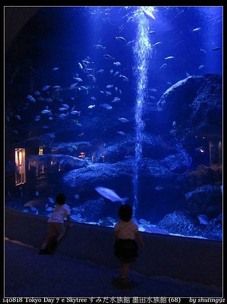 140818 Tokyo Day 7 e Skytree すみだ水族館 墨田水族館 (68).jpg