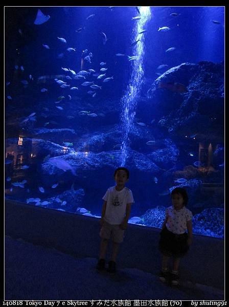 140818 Tokyo Day 7 e Skytree すみだ水族館 墨田水族館 (70).jpg